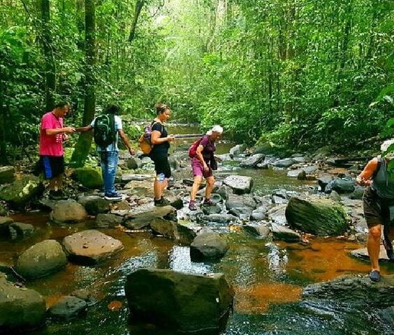ae37f4d28d5eec018463eb9e6510cd5d https://travelartisans.lk/wp-content/uploads/2024/02/ae37f4d28d5eec018463eb9e6510cd5d-564x480.jpg