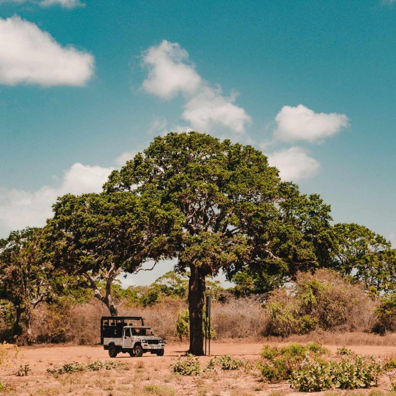https://travelartisans.lk/wp-content/uploads/2024/02/fergus-so-c33FdqxHKxE-unsplash-1280x1280.jpg