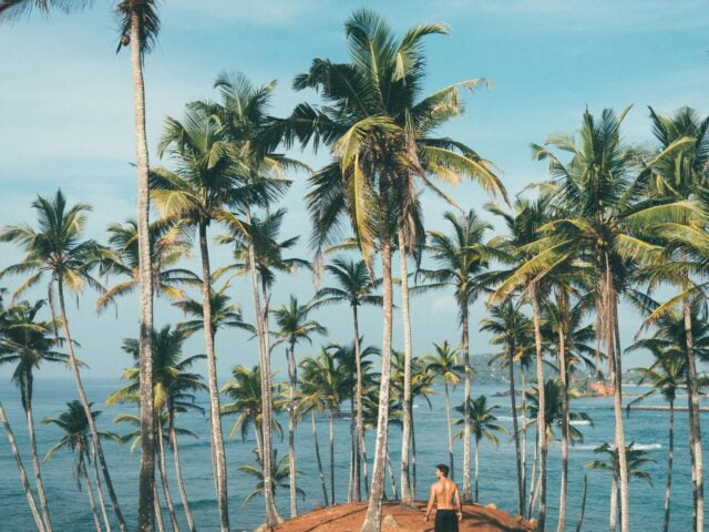 pexels-photo-1005417 https://travelartisans.lk/wp-content/uploads/2024/02/pexels-photo-1005417-640x480.jpeg