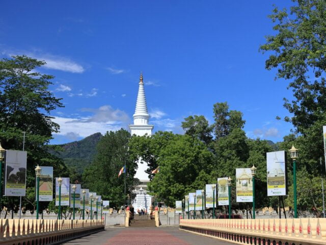 pexels-රත්න-දීපය-rathna-deepaya-14561801 https://travelartisans.lk/wp-content/uploads/2024/02/pexels-රත්න-දීපය-rathna-deepaya-14561801-640x480.jpg