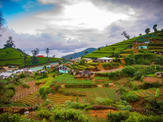 wp12668673-nuwara-eliya-wallpapers https://travelartisans.lk/wp-content/uploads/2024/02/wp12668673-nuwara-eliya-wallpapers-640x480.jpg